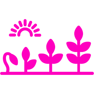 14 Icon